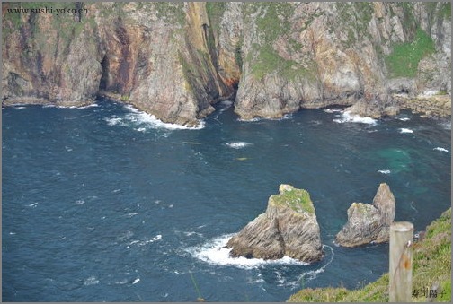 b0166496_23521190.jpg