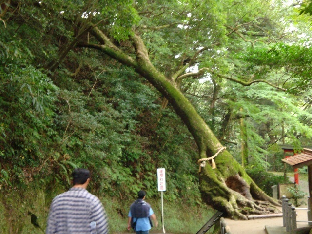 f0346196_07065845.jpg