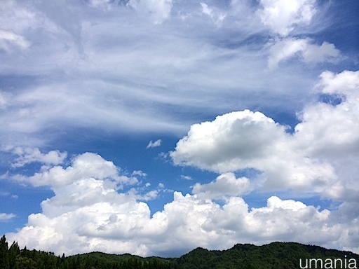 b0061004_2236162.jpg