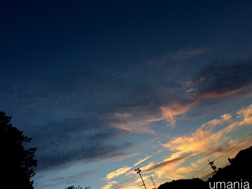 b0061004_22361990.jpg