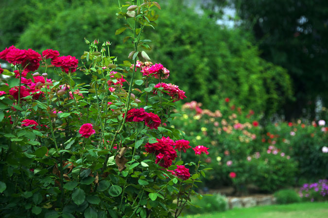 a0263109_12565770.jpg