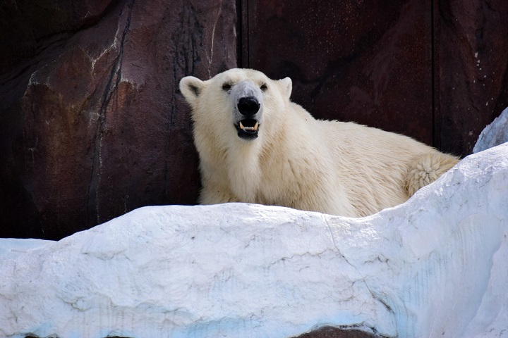 a0151913_2213844.jpg