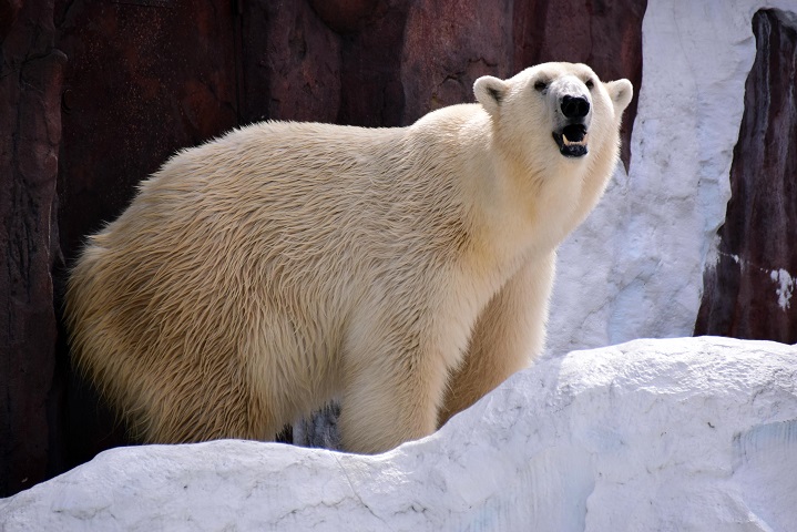 a0151913_222466.jpg