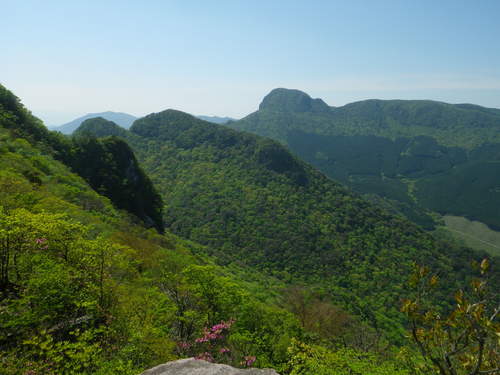 e0238313_2051956.jpg