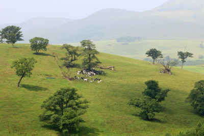 e0133025_21391317.jpg
