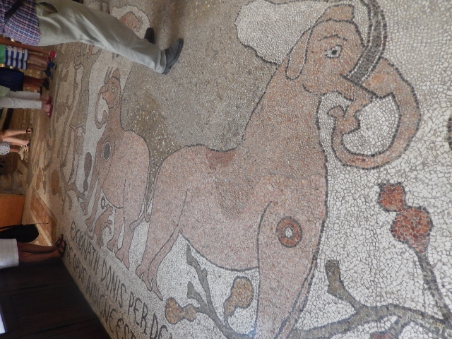 f0329429_02220970.jpg