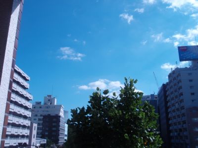 f0132230_9333495.jpg