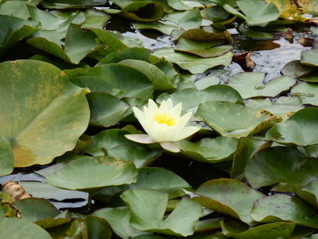 f0118332_2291073.jpg