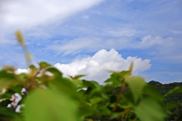 a0242438_18213536.jpg
