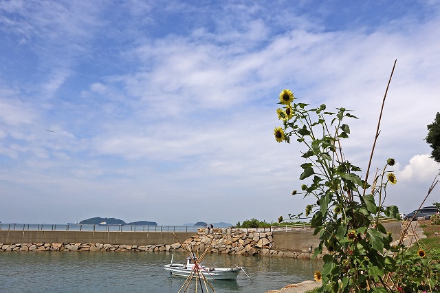 a0242438_18234226.jpg