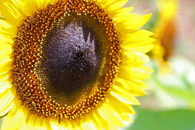 a0242438_1824563.jpg