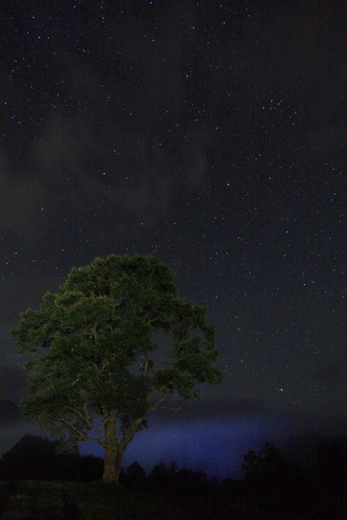 d0177549_9514236.jpg