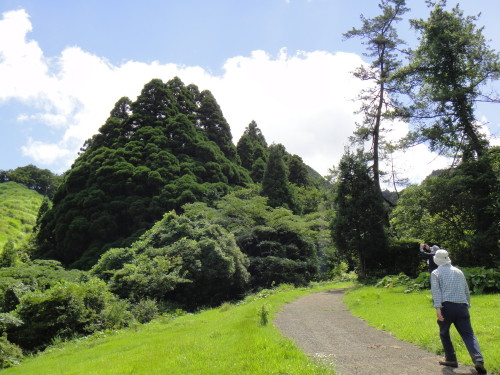 c0179351_1022845.jpg