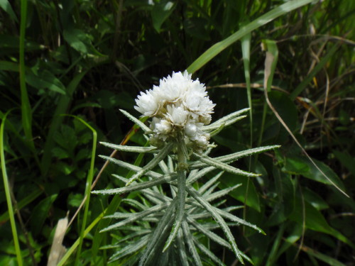 c0179351_1055822.jpg
