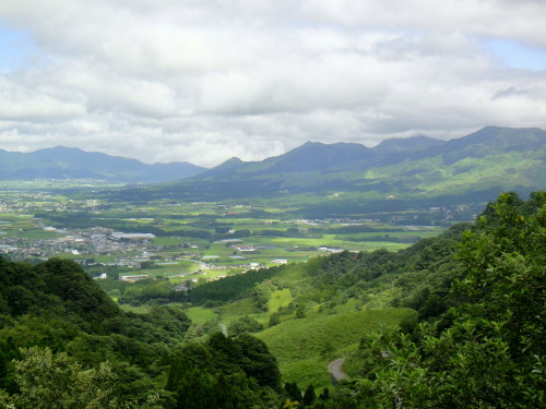 c0179351_94917.jpg