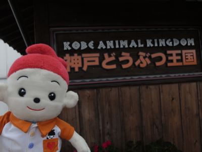 f0050651_21411486.jpg