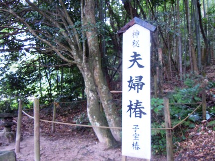 f0202151_16292317.jpg