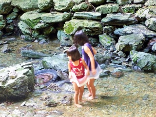 c0179853_539936.jpg