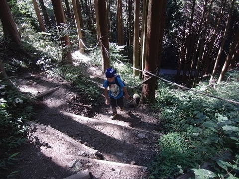 e0187064_19392141.jpg