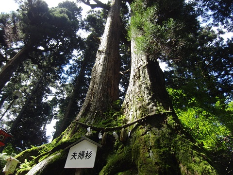 e0187064_2142757.jpg