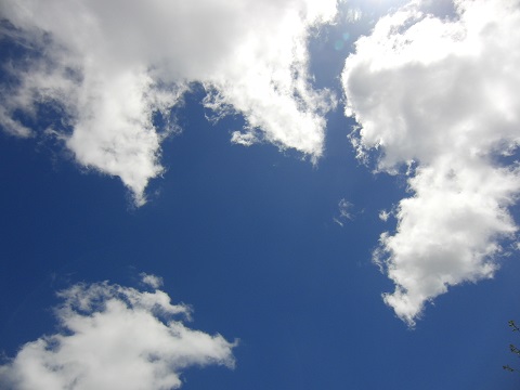 e0187064_221149.jpg