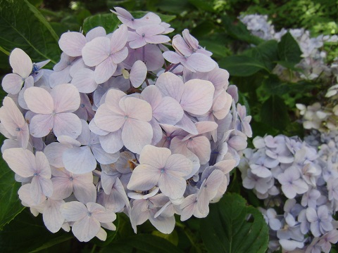 e0187064_2214223.jpg