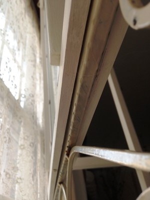 e0272870_231269.jpg