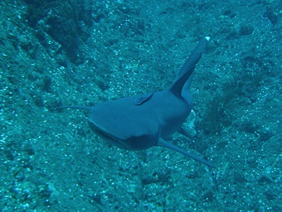 b0033573_19045257.jpg