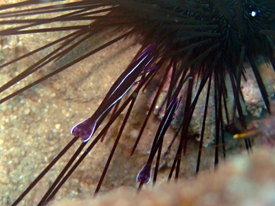 b0033573_19052969.jpg