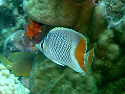 b0033573_19053539.jpg