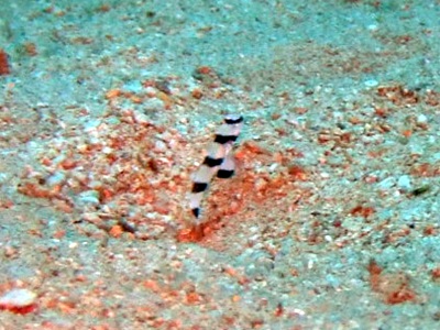 b0033573_19173530.jpg