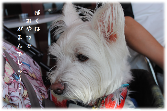 b0242873_01052749.png