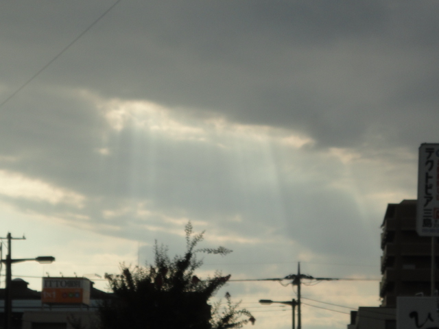 d0109373_09226.jpg