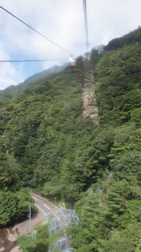 b0062687_10592544.jpg