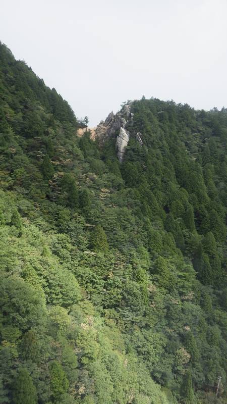 b0062687_11303847.jpg