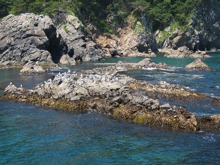 c0018489_16123659.jpg