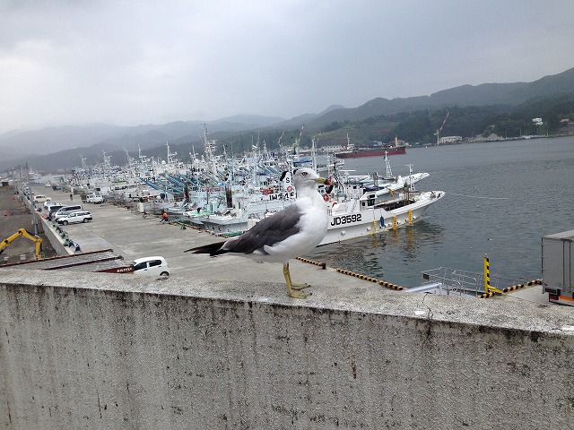 d0050290_0331790.jpg