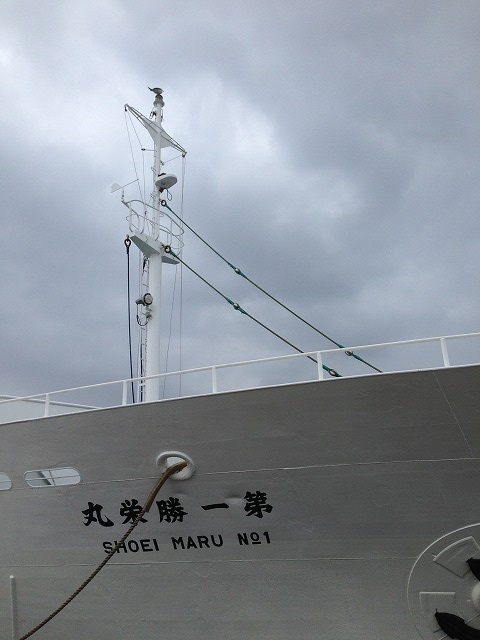 d0050290_07847.jpg
