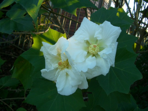 f0346196_05390277.png