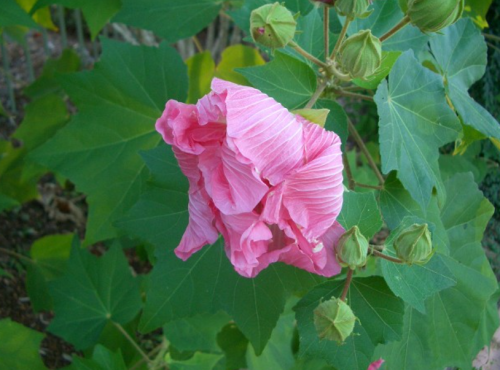 f0346196_05400261.png