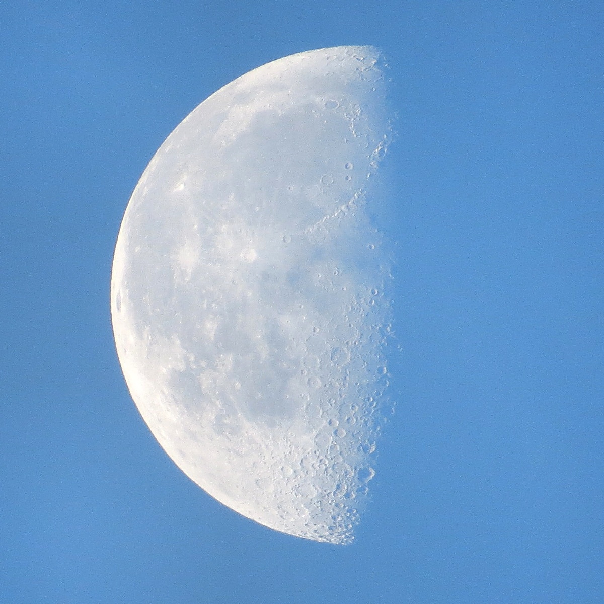 a0116100_20111386.jpg