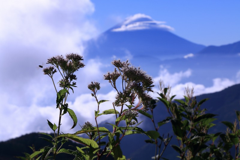 a0188405_22125208.jpg