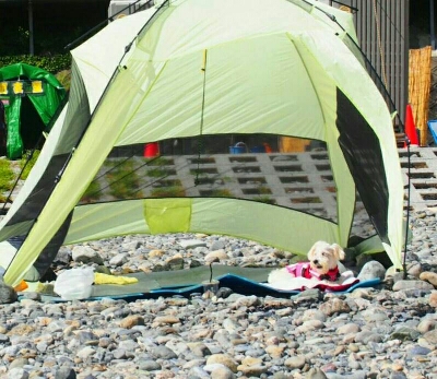 f0239713_214398.jpg