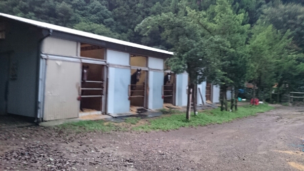 b0187620_1563821.jpg