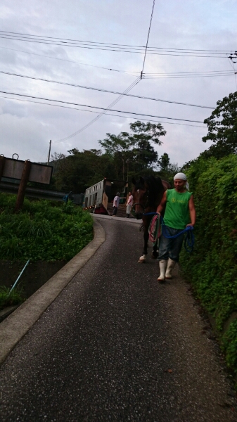 b0187620_20424176.jpg