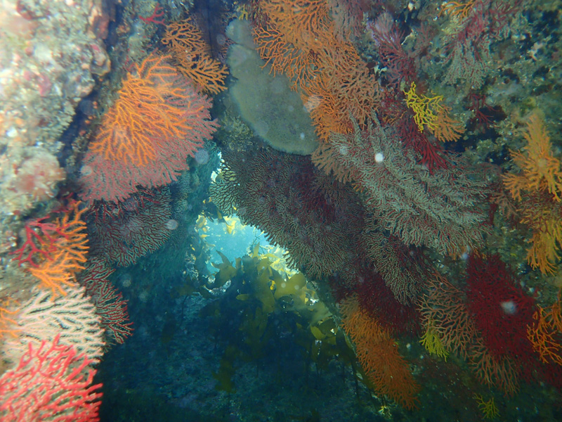 e0189021_2118313.jpg