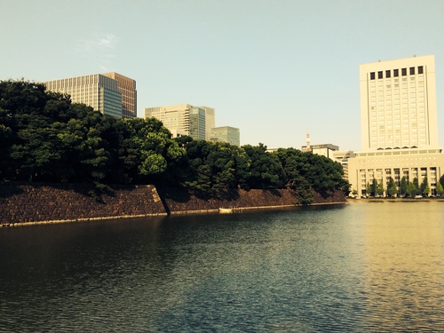 e0245625_19165199.jpg