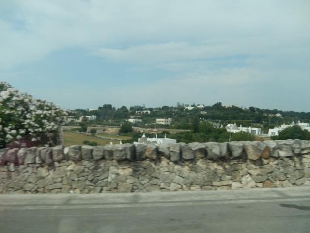 f0329429_17292373.jpg