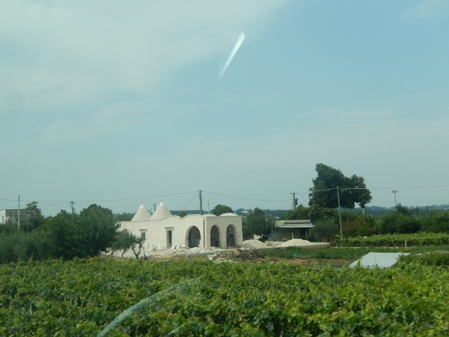 f0329429_17294010.jpg