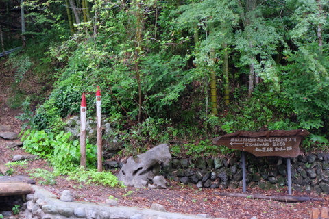 b0281732_844636.jpg
